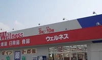 ウェルネス みのかや店まで1350m