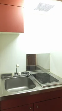 ２口ラジエントヒーター