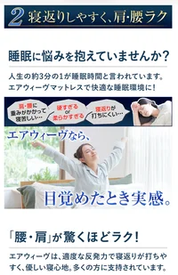 ベット