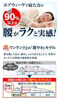 ベット