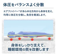ベット
