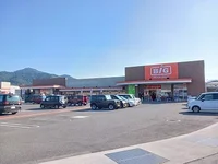 ザ・ビッグ国分寺店さんまで800m