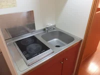 2口コンロのラジエントヒーターです。