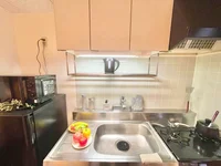 ※撮影用の観察植物・食器調理器具・雑貨類等はございません。※写真は現況優先