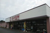 セイミヤまで750m