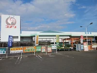 コメリハード&グリーン大和店まで900m
