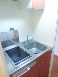 電気コンロが2口付いています。