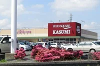 カスミフードスクエア茂原店まで350m