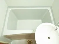 同タイプの写真です。