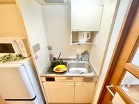 ※撮影用の観察植物・食器調理器具・雑貨類等はございません。※写真は現況優先