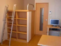 2F以上は絨毯です