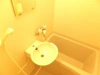 風呂、トイレ別