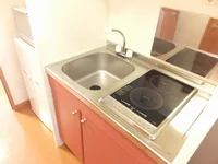 2口コンロのラジエントヒーターです。