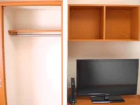 テレビ脇のクローゼットはポール付です