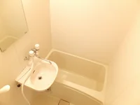 浴室には洗面台が付いています。