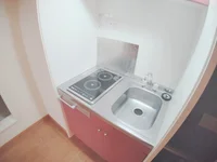 反転タイプあり