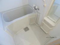 ※図面・写真と現場が異なる場合は現場を優先します。　※撮影用の観葉植物・食器調理器具・雑貨類等は御座いません。