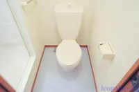 ※写真と現物が異なる場合は現物を優先いたします。