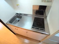 一人暮らしにピッタリの機能的なシンク