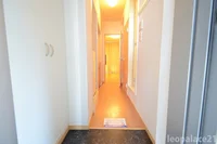 同シリーズの類似となります。現況を優先致します。