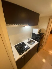 反転タイプの写真です。