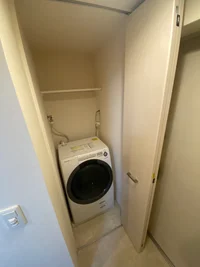 反転タイプの写真です。