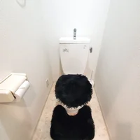 きれいなトイレ♪