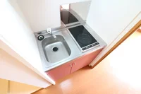 お掃除らくらくの２口ラジエントヒーターを採用