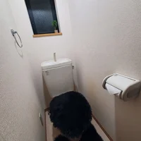 きれいなトイレ♪