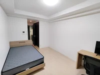 写真はお部屋のイメージです。ラグなどの室内装飾はございません。