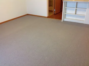 青堀駅（千葉県）のマンスリーマンション・ウィークリーマンション「レオパレスアドゥスィール 101(No.1002228)」メイン画像