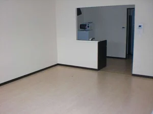 のマンスリーマンション・ウィークリーマンション「レオネクストパーチ 202(No.1010058)」メイン画像