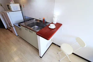 キッチンにちょっとしたカウンターあり! 家電類もそろっていて一人暮らしに