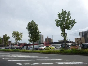 パワーズビックリブ館 徒歩10分