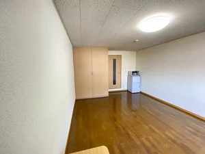 医療法人社団愛友会　上尾中央総合病院周辺のマンスリーマンション・ウィークリーマンション「レオパレスドミールＢ館 202(No.1030510)」メイン画像