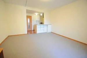 豊橋駅（愛知県）・駅前駅（愛知県）・新豊橋駅（愛知県）のマンスリーマンション・ウィークリーマンション「レオパレスベルタＡ 207(No.1052729)」メイン画像