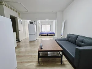 のマンスリーマンション・ウィークリーマンション「南平岸駅より徒歩5分！2DKアパート 107(No.1106929)」メイン画像