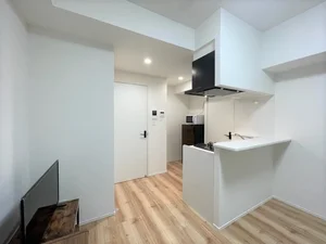 東京都のマンスリーマンション・ウィークリーマンション「マンスリーステージ錦糸町Ⅳ 1R(No.1109916)」メイン画像