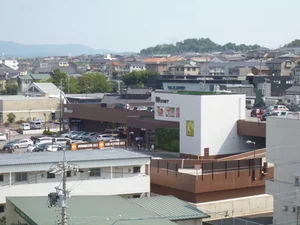 ドミー竜美丘店