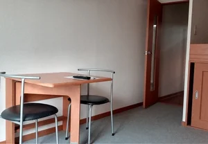 初石駅（千葉県）のマンスリーマンション・ウィークリーマンション「レオパレス若葉Ｂ 302(No.1155642)」メイン画像