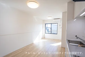 宮崎市のマンスリーマンション・ウィークリーマンション「アステル・カロン 204・洋室(No.1184198)」メイン画像