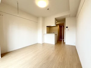 武之橋駅（鹿児島県）のマンスリーマンション・ウィークリーマンション「ルーカス　武之橋 504・洋室(No.1187209)」メイン画像