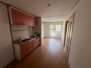 相馬市のマンスリーマンション・ウィークリーマンション「サンリット　グローブＡ棟 203・洋室(No.1188598)」メイン画像