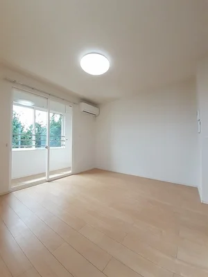 岩手県のマンスリーマンション・ウィークリーマンション「オリーブ 201・洋室(No.1215655)」メイン画像