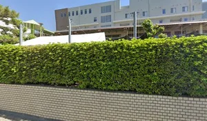 わかくさ保育園まで徒歩６分