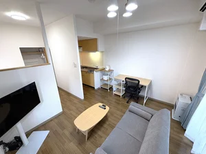 北海道の家具家電付きマンスリーマンション「ノースステイ札幌ST 602(No.1227207)」メイン画像