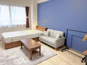 ※衛生管理の都合上、カーペットは撤去してのご案内となります。