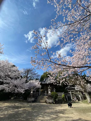 長楽寺公園まで徒歩7分