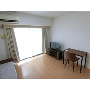 のマンスリーマンション・ウィークリーマンション「賃料最大40％OFF！【錦糸町駅 徒歩4分】エール錦糸町パレス 1K(No.1247292)」メイン画像