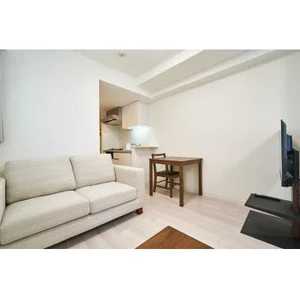 のマンスリーマンション・ウィークリーマンション「賃料最大40％OFF！【西新宿駅徒歩6分】エールプレミアム西新宿 1LDK(No.1248530)」メイン画像